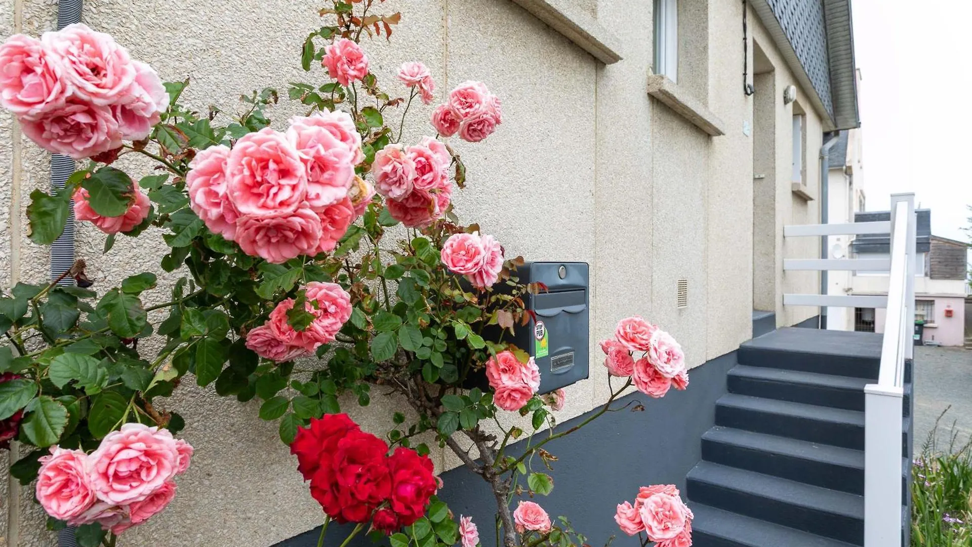 Le Petit Rozeur - Appt Vue Mer Plérin Frankrijk